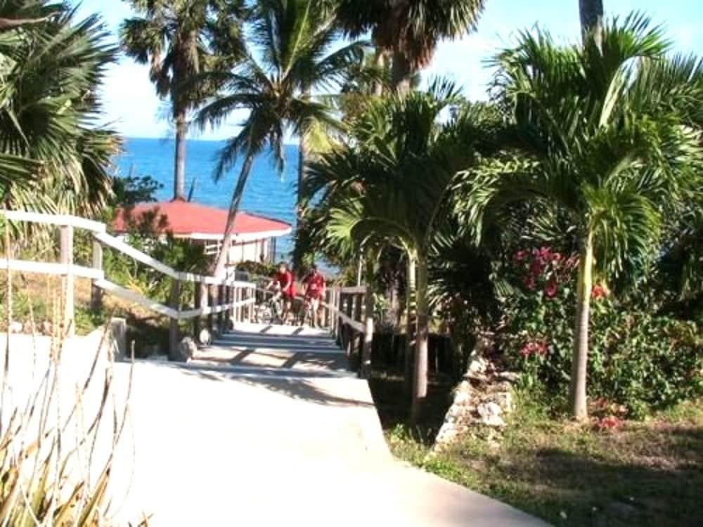Treasure Beach Hotel Nature photo
